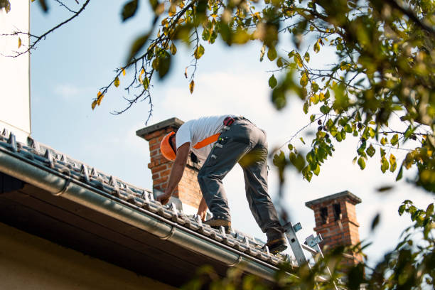 Best Commercial Roofing Services  in Walnut, IL