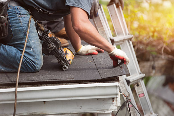 Best Flat Roof Repair Services  in Walnut, IL